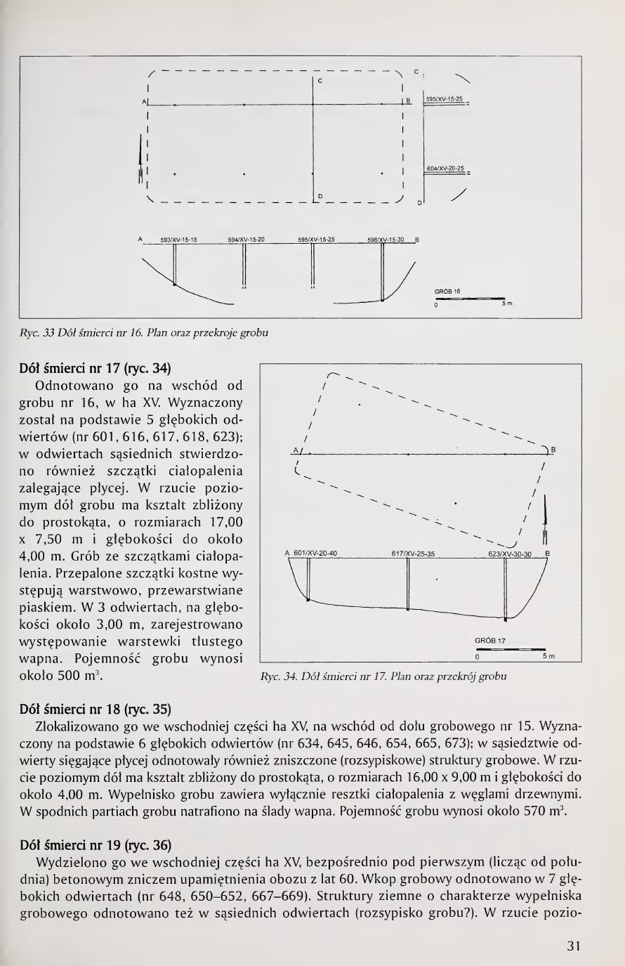 Kola 2000 page 31, Fig. 34, plan of Pit 17