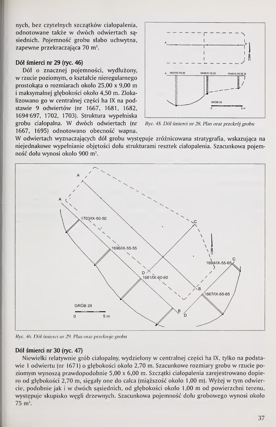 Kola 2000 page 37, Figs. 45 and 46, plans of Pits 28 and 29