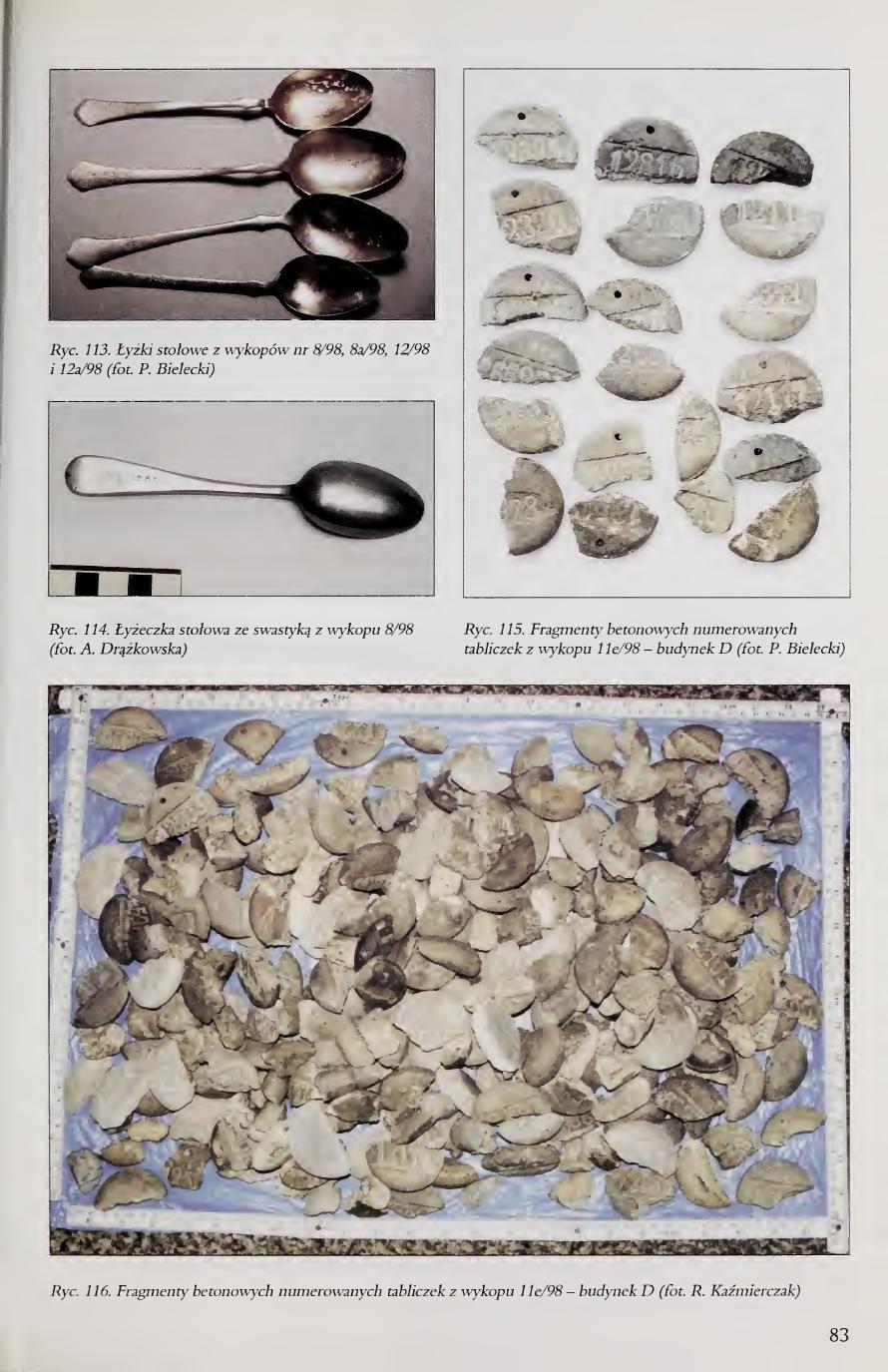 Kola 2000 page 83, Figs. 113-116, spoons swastika teaspoon and concrete numbered disks